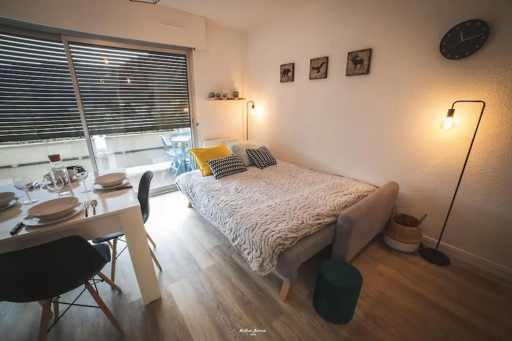 Appartement Centre-Ville Saint-Lary Vue Montagne 0*, Saint-Lary-Soulan